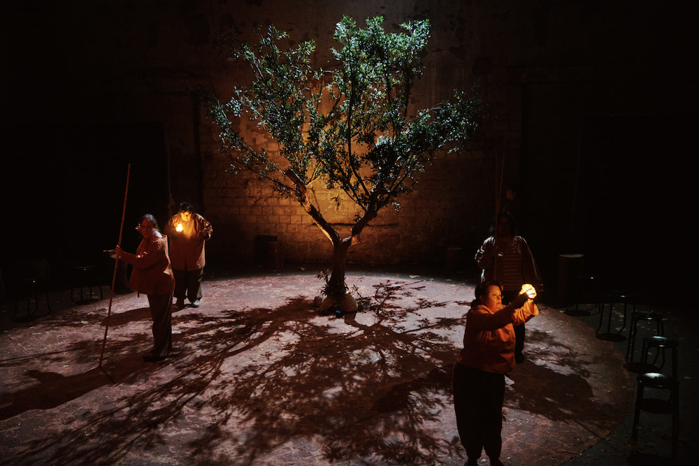 arbres